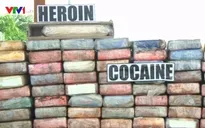 Liên Hợp Quốc cảnh báo thị trường ma túy thế giới phát triển mạnh