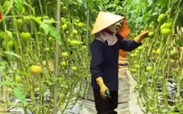 Nội địa hóa công nghệ cao hướng tới phát triển nông nghiệp bền vững