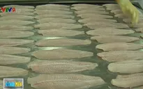 Thủy sản xuất khẩu phải ghi rõ thông số chất lượng trên bao bì
