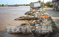 Cá chết ở Đầm Dơi, Cà Mau: Do nguồn nước bị ô nhiễm