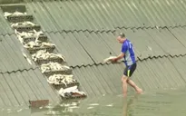 Cá chết hàng loạt ở Lào Cai do bục ống nước thải nhà máy