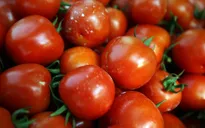 Cà chua giúp ngăn ngừa nếp nhăn