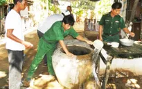 Số ca sốt xuất huyết ở Cà Mau tăng 74% so với cùng kỳ