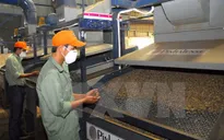Cân nhắc khi áp thuế tiêu thụ đặc biệt đối với cà phê uống liền