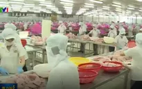 Tìm giải pháp gỡ khó cho cá tra xuất khẩu sang Mỹ