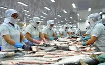 Doanh nghiệp Việt tăng cường cập nhật thông tin về thị trường xuất khẩu