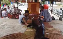 Cá voi nặng gần 500kg dạt vào vùng biển Bình Định