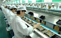 Kiên quyết rút giấy phép các DN yếu kém, lành mạnh hóa thị trường xuất khẩu lao động