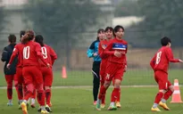 Bóng đá nữ: ĐT nữ Việt Nam tập trung chuẩn bị cho Asian Cup 2018
