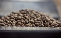 Brazil cho phép nhập khẩu cà phê Robusta từ Việt Nam
