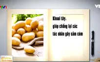 Những thực phẩm phòng chống cảm cúm