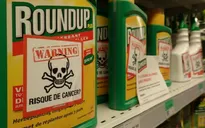 Nghị viện châu Âu bỏ phiếu cấm thuốc diệt cỏ Glyphosate