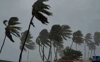 Siêu bão Irma mạnh lên cấp 5
