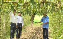 Huyện ủy Yên Khánh học và làm theo phong cách gần dân của Bác