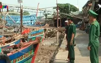 Bão số 16: Trưa ngày 24/12, 90% tàu thuyền ở Bến Tre đã neo đậu an toàn