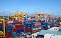 Chậm giảm thủ tục chuyên ngành, tỷ lệ hàng hóa phải kiểm tra hải quan tăng