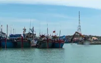 Dự án khu neo đậu trú bão tại Ninh Thuận chậm tiến độ do thiếu vốn