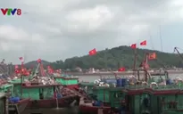 Gia tăng tình trạng neo đậu tàu cá trái phép tại cảng Cửa Lò
