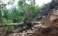 Cao Bằng: Tái diễn tình trạng khai thác quặng trái phép trong rừng đặc dụng