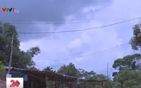 Hơn 160.000 hộ dân vùng núi, nông thôn, hải đảo được cấp điện mới
