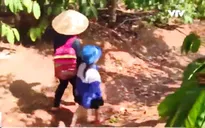 Cặp lá yêu thương: Khi bà là mẹ