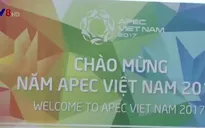 Đà Nẵng tăng cường kiểm tra vệ sinh môi trường chuẩn bị phục vụ APEC