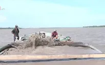 Bến Tre: Kiểm tra khai thác cát lậu trên sông Hàm Luông