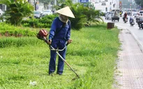TP.HCM: Tư nhân có thể đấu thầu tham gia dịch vụ công ích