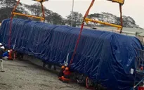 Đoàn tàu thuộc dự án đường sắt trên cao về đến Hà Nội