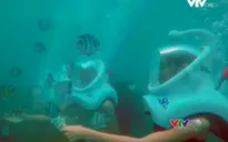 VTVTrip: Con đường dưới biển huyền diệu ở đảo Cù Lao Chàm
