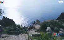 VTVTrip: Ngắm bình minh rực rỡ sắc màu trên mũi Đại Lãnh