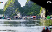 VTVTrip: Vịnh Lan Hạ - Bức phù điêu thiên tạo đẹp tuyệt vời