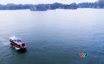 VTVTrip: Hải Phòng - Điểm đến bí ẩn còn nhiều điều khám phá