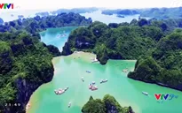 VTVTrip: Ngao du sơn thủy hữu tình tại Vịnh Hạ Long