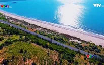 VTVTrip: Dạo bước ở làng chài Tuy Phong, Bình Thuận