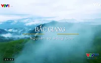 VTVTrip: Đến cao nguyên Đồng Cao hít căng tràn lồng ngực không khí mát mẻ