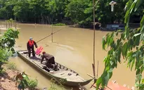 Bố ơi! Mình đi đâu thế?: Cú ngã ngoạn mục của bố Yên Lam