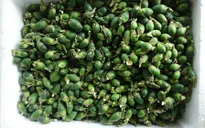 Ồ ạt thu mua cau non bán sang Trung Quốc