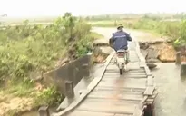 Bất an từ những cây cầu tạm sau lũ