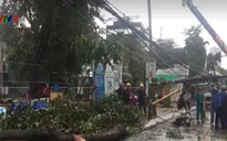 TP.HCM: Mưa lớn, cây xanh ngã đổ đè gãy cột điện