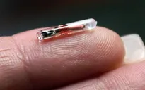 Nhiều công ty tại Mỹ, Australia cấy chip cho nhân viên