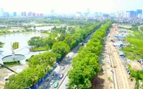 Thành phố Hà Nội sẽ tiếp tục lấy ý kiến về phương án giải tỏa 1.300 cây xanh trên đường Phạm Văn Đồng