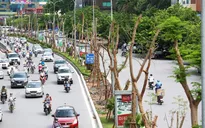 Cây xanh đô thị Việt Nam chỉ bằng 1/10 thế giới