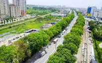 Hà Nội xin cơ chế đặc thù trồng 600.000 cây xanh