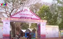 Buôn Ma Thuột nhộn nhịp trước Lễ hội Cà phê
