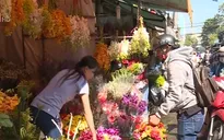 TP.HCM: Người dân nuối tiếc nếu di dời chợ hoa Hồ Thị Kỷ