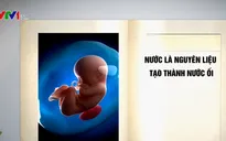 Cách chăm sóc thai nhi khỏe mạnh trong suốt thai kỳ