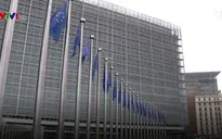 EU chưa thống nhất về chất gây rối loạn nội tiết