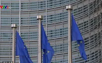 EU cần một Chính phủ Đức mạnh mẽ