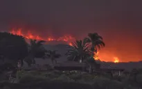 Cháy rừng lan rộng tại California, Mỹ